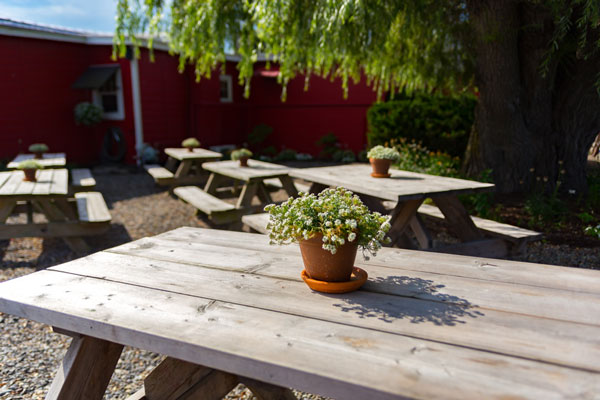 Several picnic tables are set out on a gravel patio for outdoor seating
